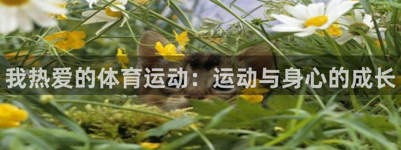z66体育：我热爱的体育运动：运动与身心的成长