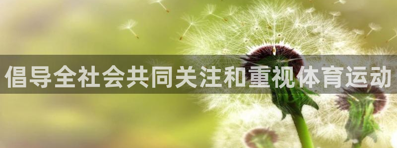 Z66体育APP最新版：倡导全社会共同关注和重视体育运动
