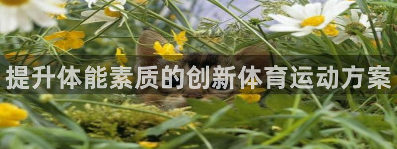 z66体育平台是正规的吗：提升体能素质的创新体育运动方案