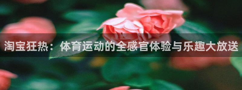 Z66体育cz：淘宝狂热：体育运动的全感官体验与乐趣大放送