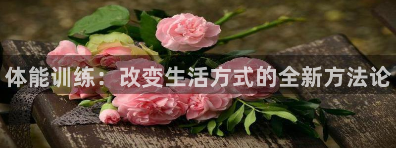 Z66体育APP最新版：体能训练：改变生活方式的全新方法论