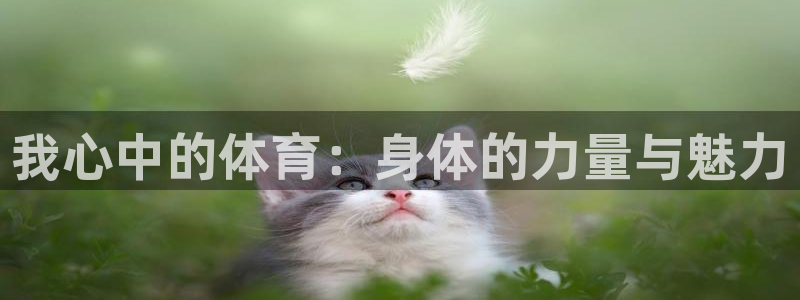 z66体育app下载：我心中的体育：身体的力量与魅力